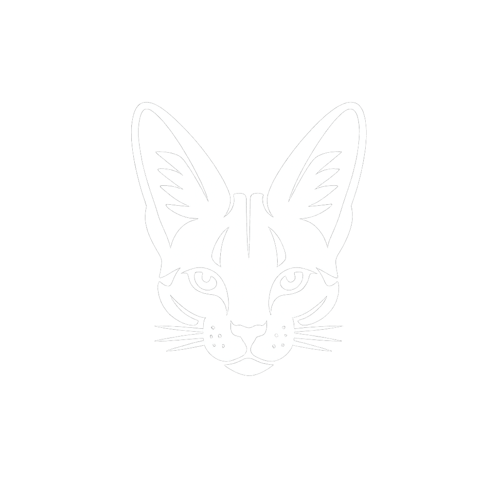DeepServal logo
